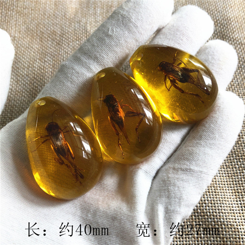 New arrival beautiful pendant - Insect Pendant