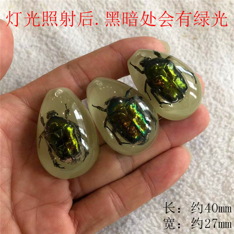 New arrival beautiful pendant - Insect Pendant