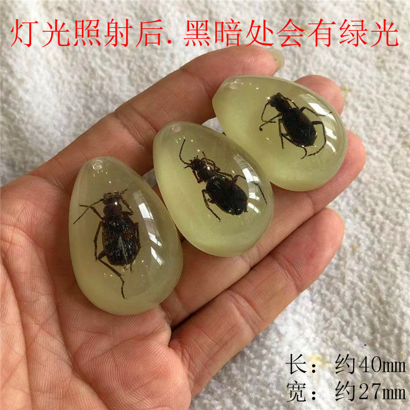 New arrival beautiful pendant - Insect Pendant