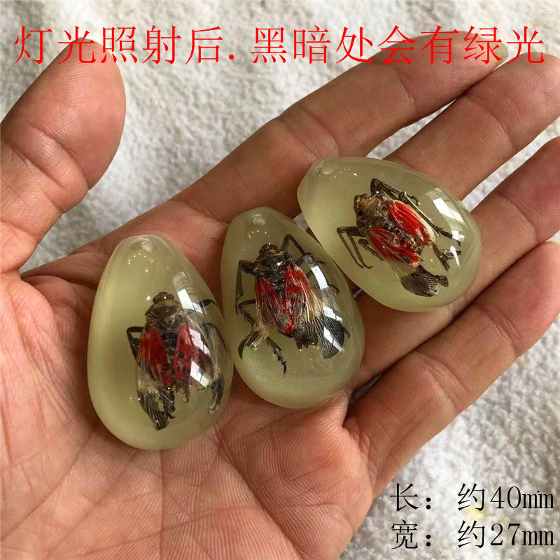 New arrival beautiful pendant - Insect Pendant