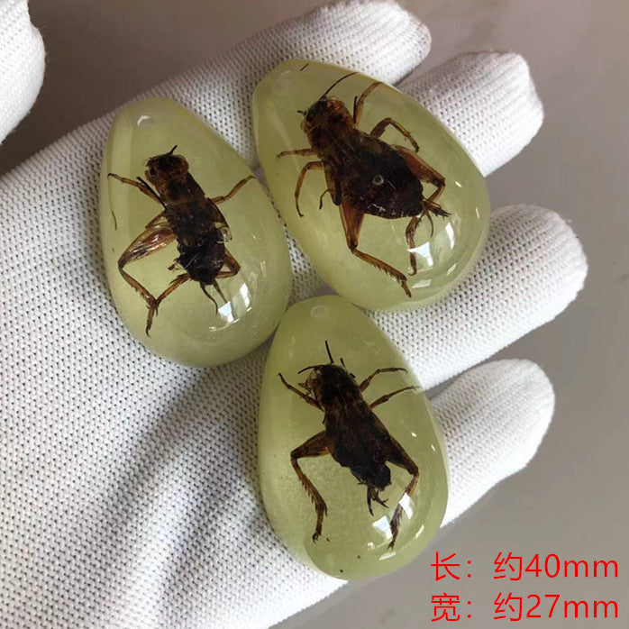 New arrival beautiful pendant - Insect Pendant