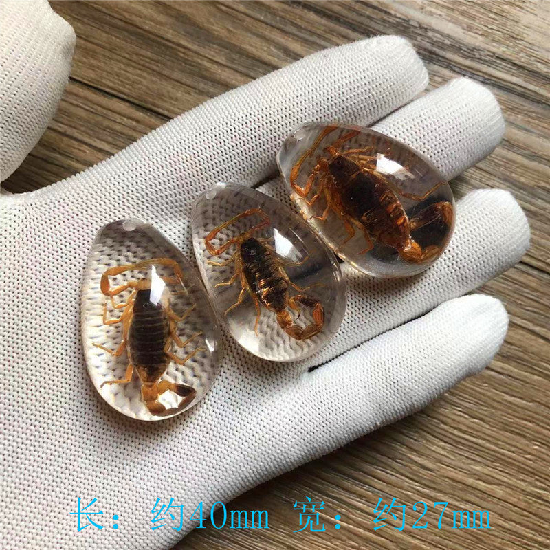 New arrival beautiful pendant - Insect Pendant