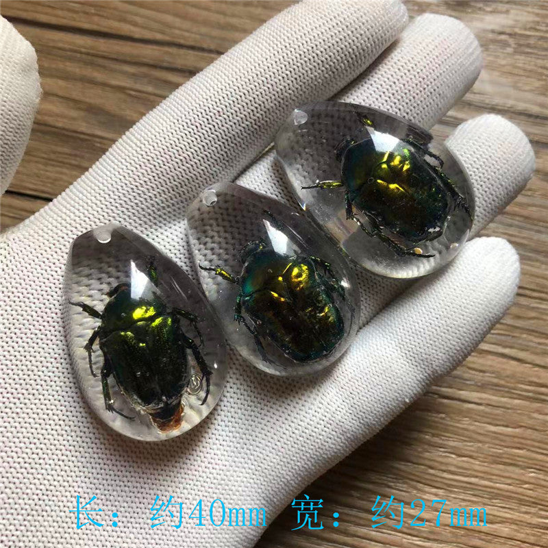 New arrival beautiful pendant - Insect Pendant