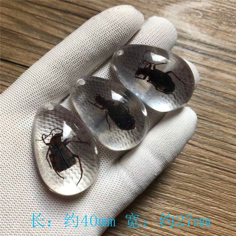 New arrival beautiful pendant - Insect Pendant
