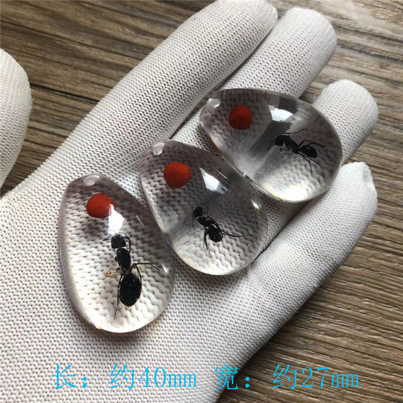 New arrival beautiful pendant - Insect Pendant