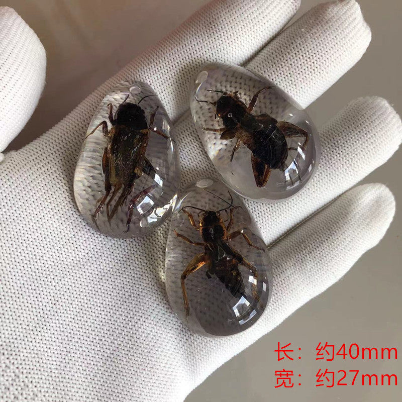 New arrival beautiful pendant - Insect Pendant