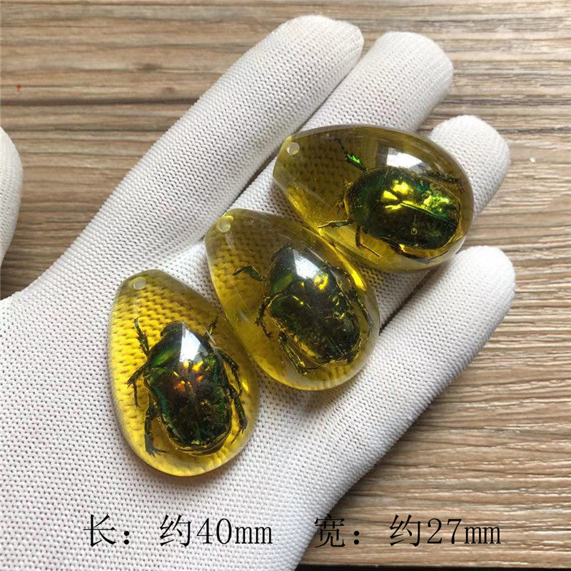 New arrival beautiful pendant - Insect Pendant